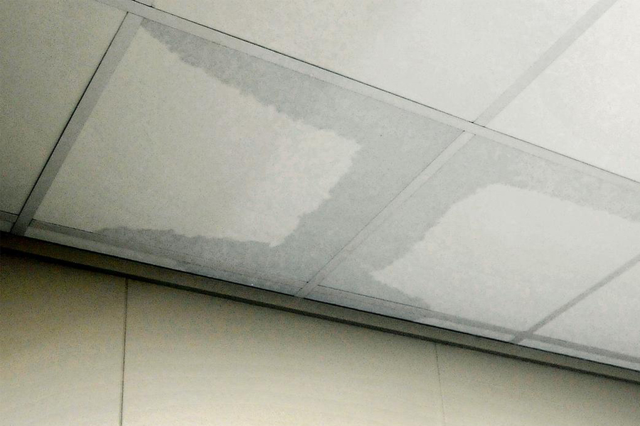 ceiling-board-dampness