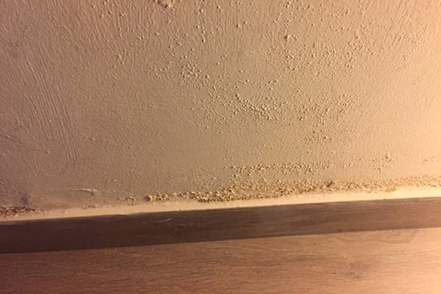 seepage-wall-surface